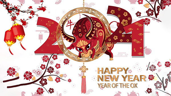 Happy New Year Happy New Year